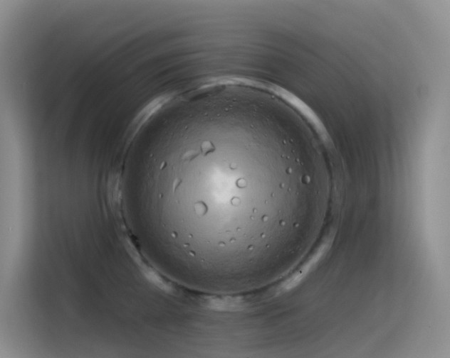 X0000114670809200910211149