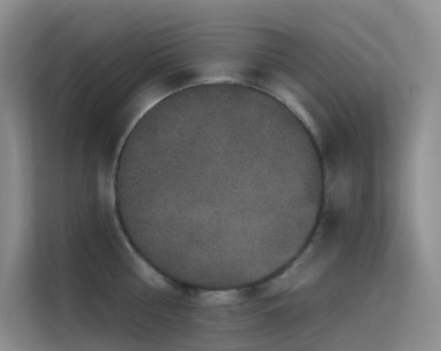 X0000114670810200910211149