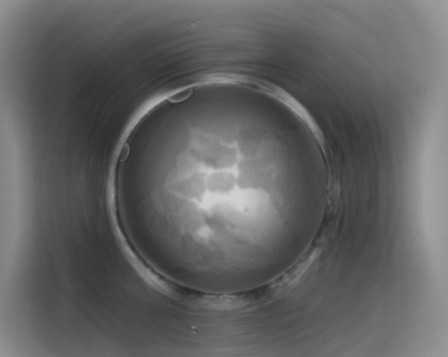 X0000114670811200910211149