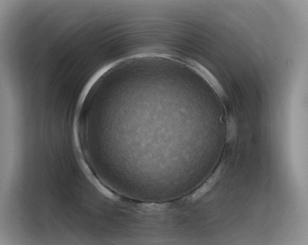 X0000114670812200910211149