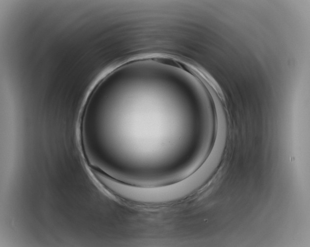 X0000114670813200910211149