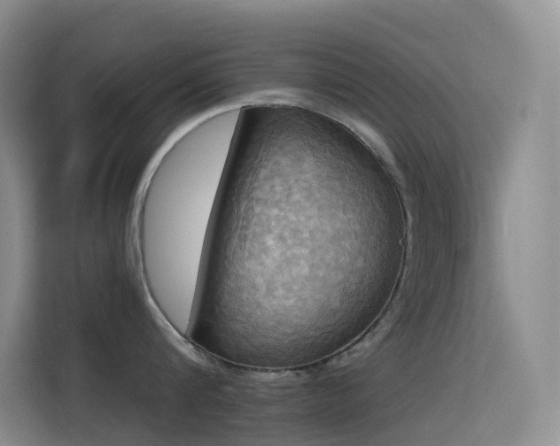 X0000114670816200910211149