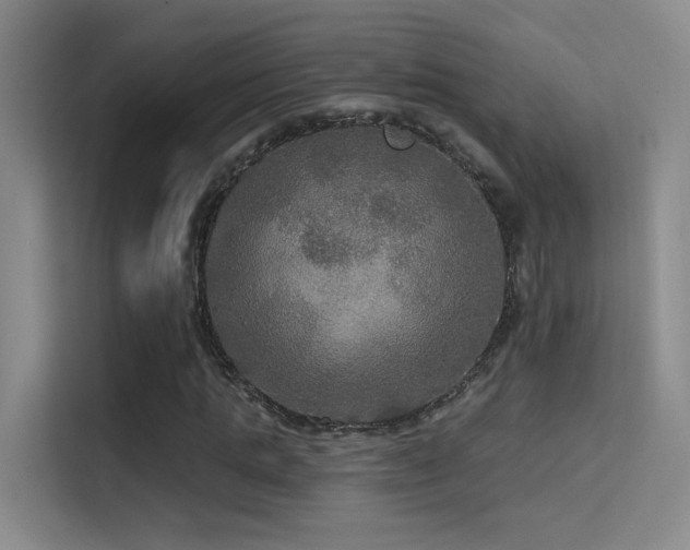 X0000114670821200910211148