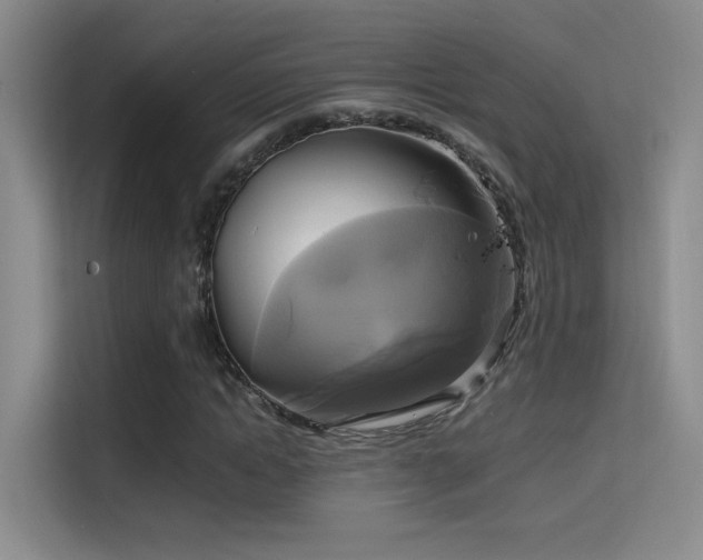 X0000114670822200910211148