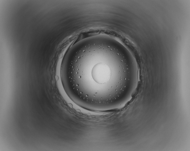 X0000114670824200910211148