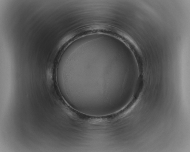 X0000114670826200910211148