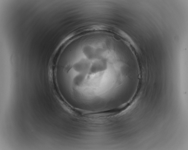 X0000114670827200910211148