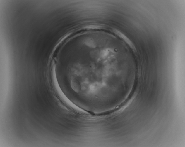 X0000114670829200910211148