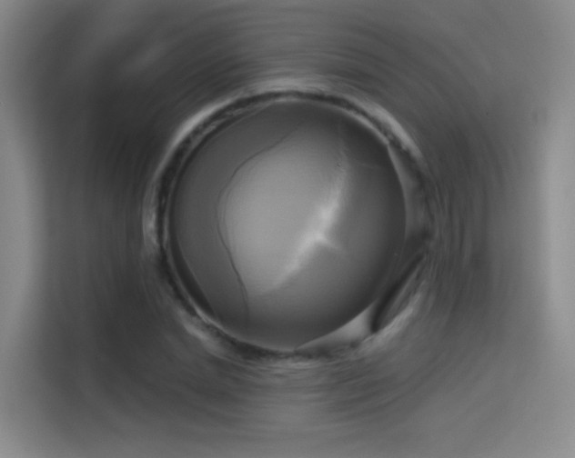 X0000114670830200910211148