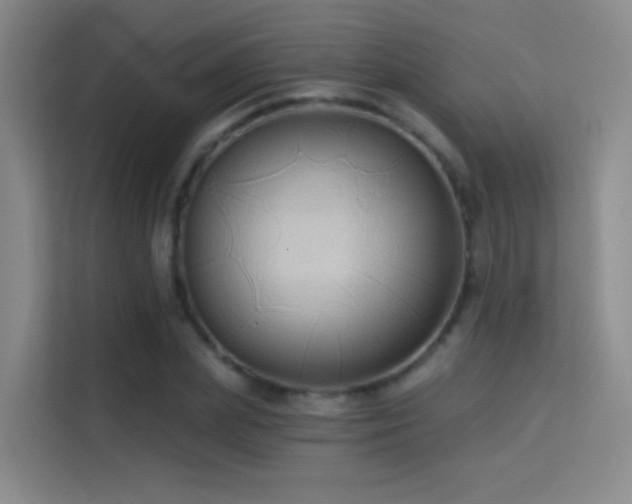 X0000114670831200910211148