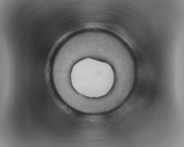 X0000114670832200910211148