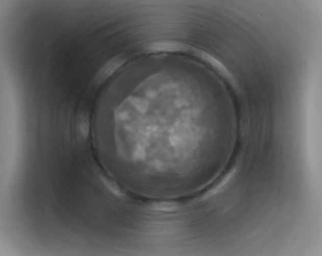 X0000114670833200910211148