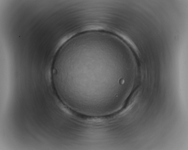 X0000114670834200910211148