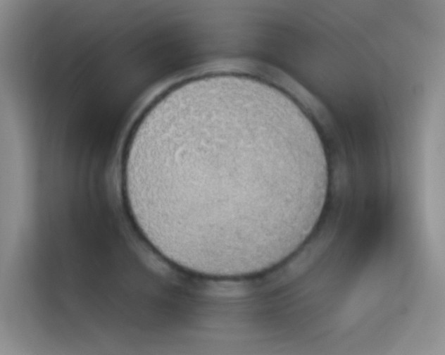 X0000114670836200910211148