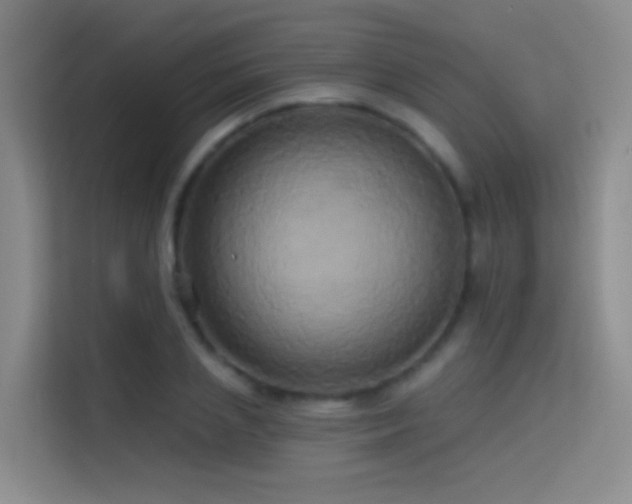 X0000114670837200910211148
