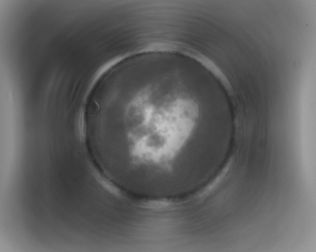 X0000114670838200910211148