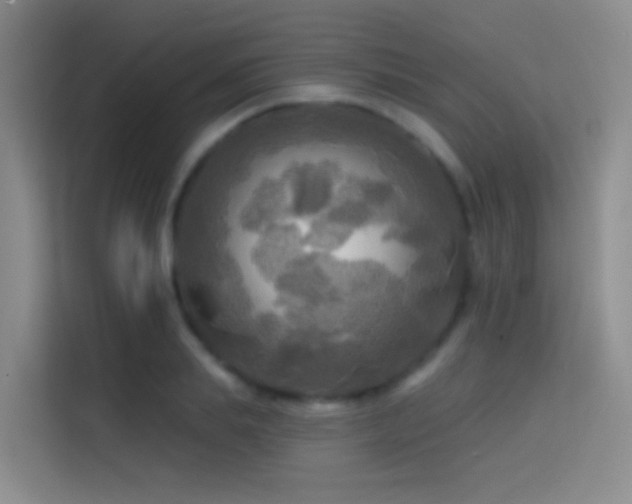 X0000114670839200910211148