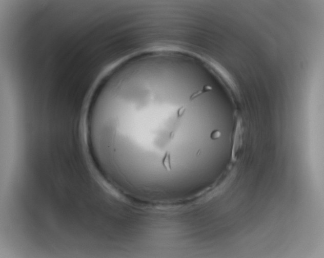 X0000114670840200910211148