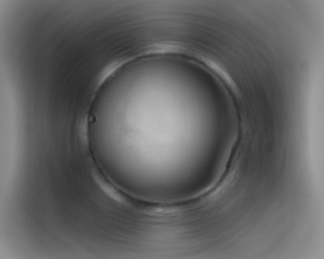 X0000114670842200910211149