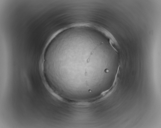 X0000114670844200910211149