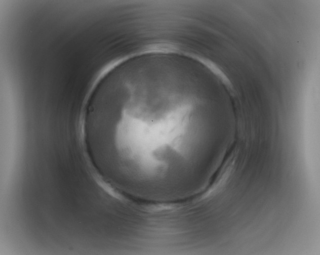 X0000114670846200910211149