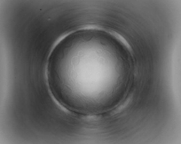 X0000114670847200910211149