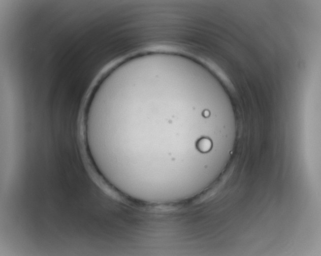 X0000114670848200910211149