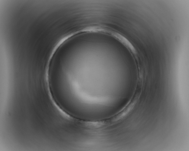 X0000114670855200910211149