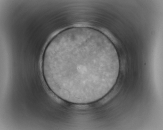 X0000114670856200910211149