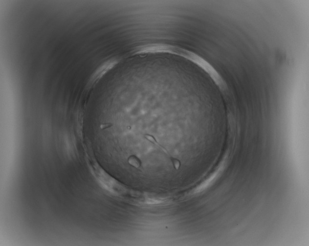 X0000114670857200910211149