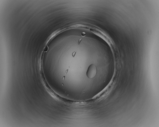 X0000114670858200910211149