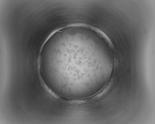 X0000114670860200910211149