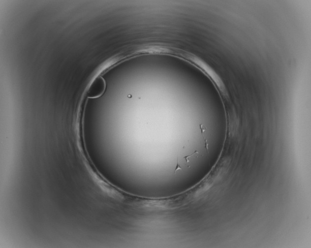 X0000114670861200910211149