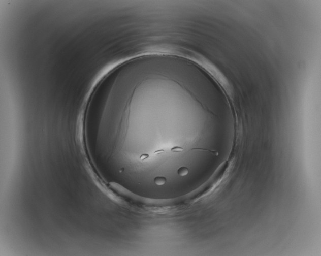 X0000114670862200910211149