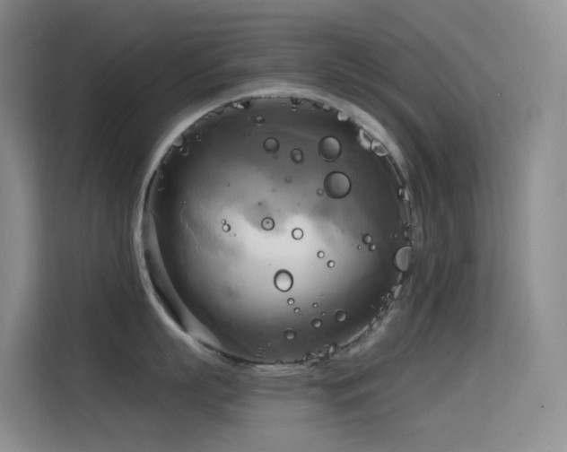 X0000114670863200910211149