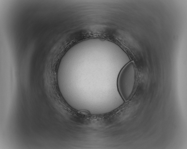 X0000114670865200910211148
