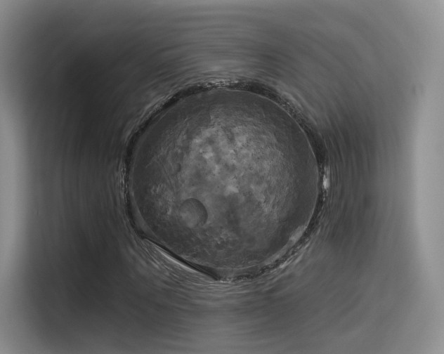 X0000114670867200910211148