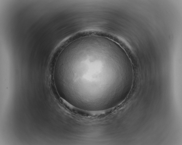 X0000114670872200910211148