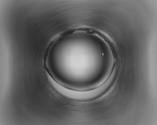 X0000114670873200910211148