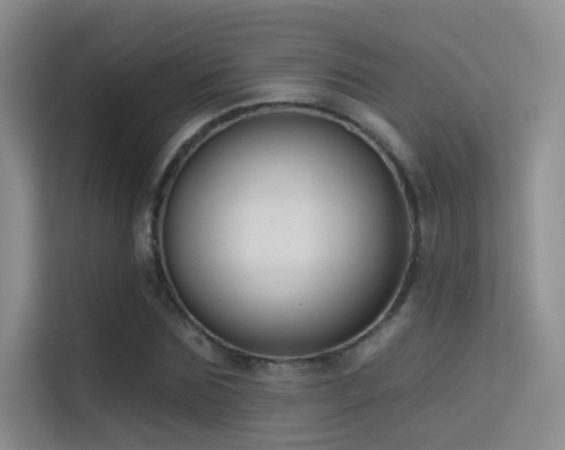 X0000114670875200910211148