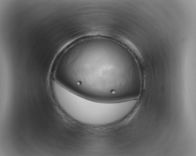 X0000114670876200910211148
