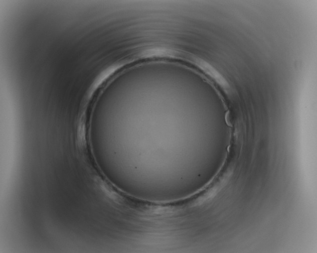 X0000114670877200910211148