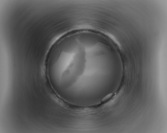 X0000114670879200910211148