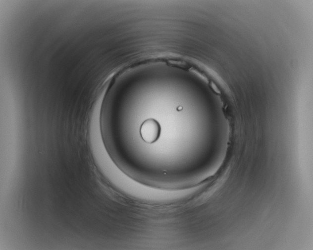 X0000114670881200910211148