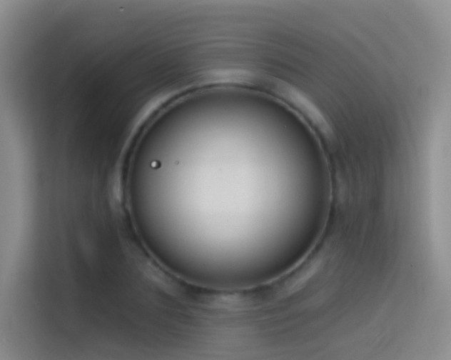 X0000114670883200910211148