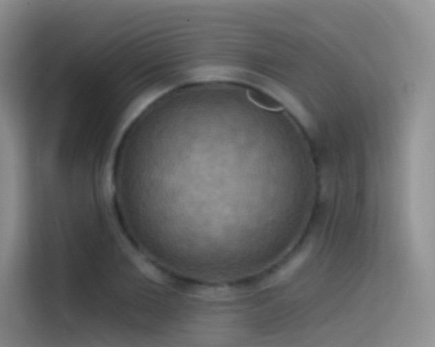 X0000114670885200910211148