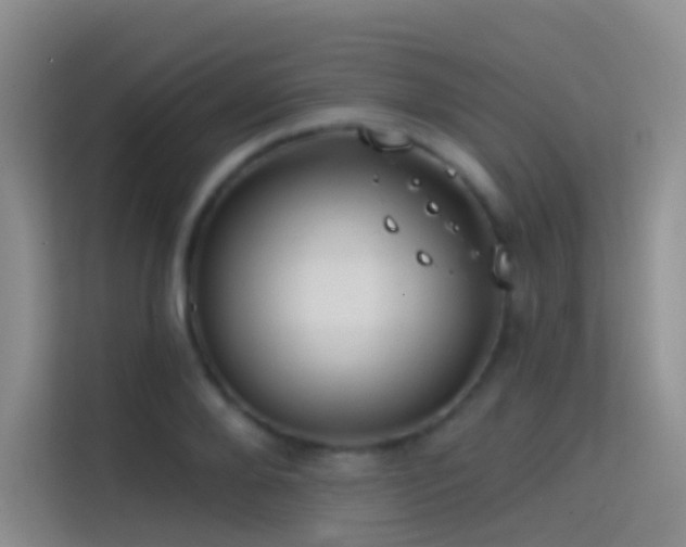 X0000114670888200910211148
