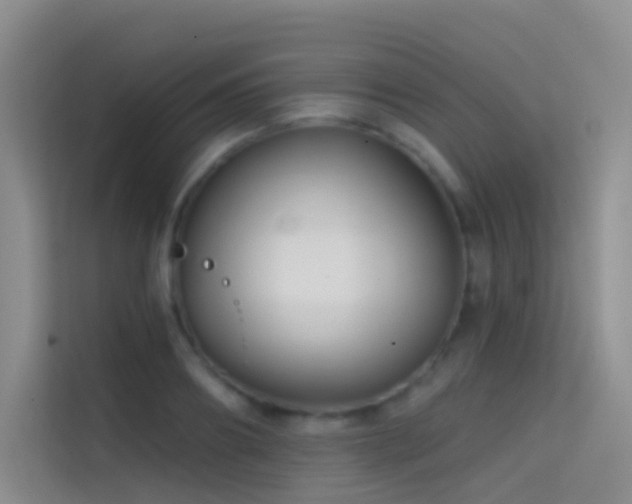X0000114670890200910211148