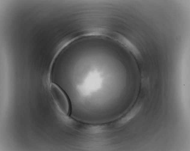 X0000114670892200910211148