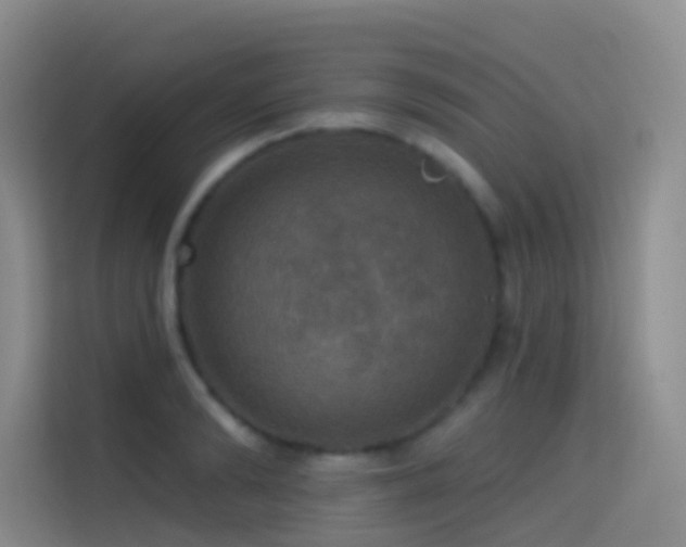 X0000114670894200910211148